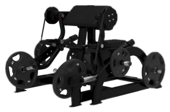 Biceps Curl