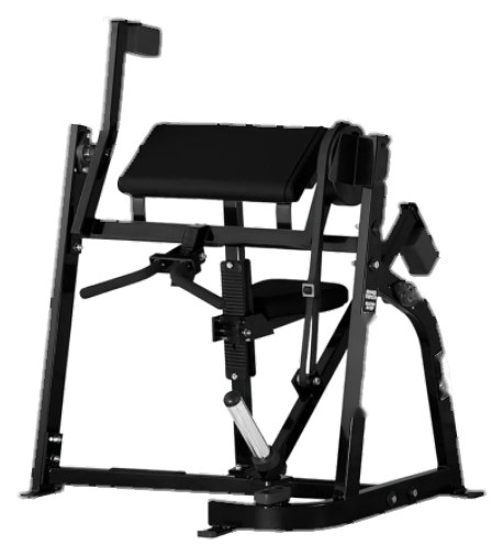 Seated Biceps