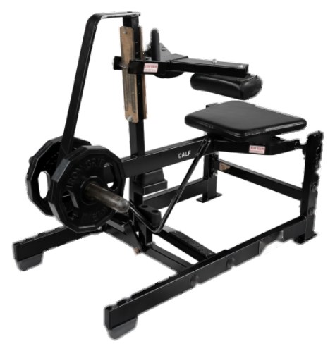 Seated Calf Raise