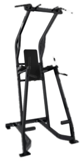 Chin Dip Leg Raise