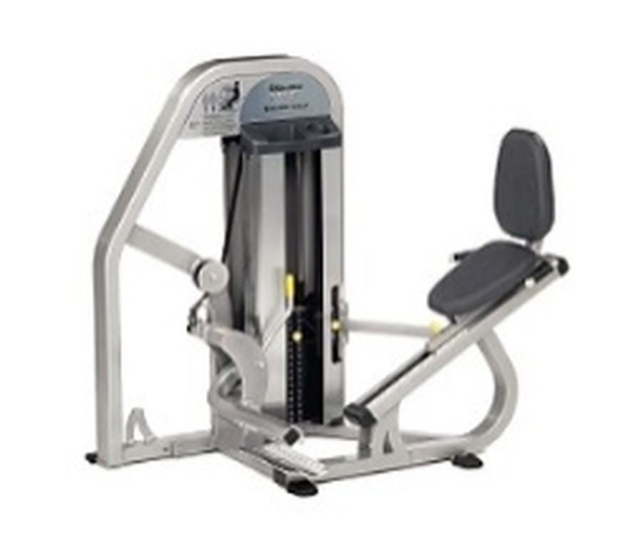 Seated Calf