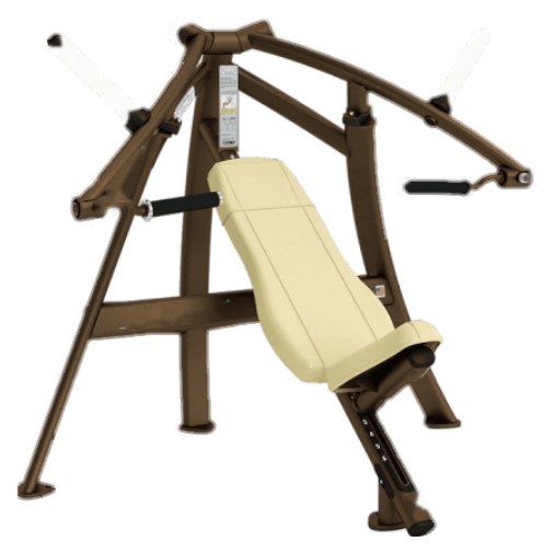 Chest Press