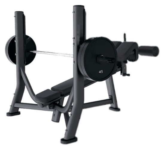 LF Olympic Decline Bench