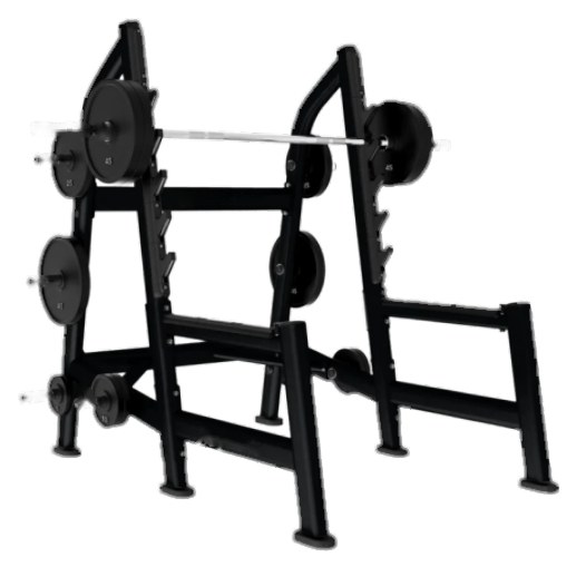 LF Olympic Squat Rack