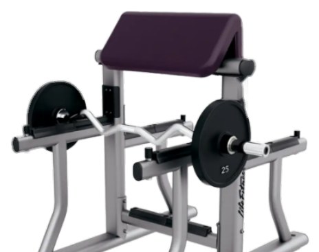 LF Arm Curl Bench