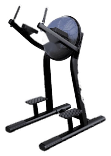 LF Leg Raise