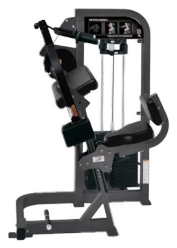 Triceps Extension