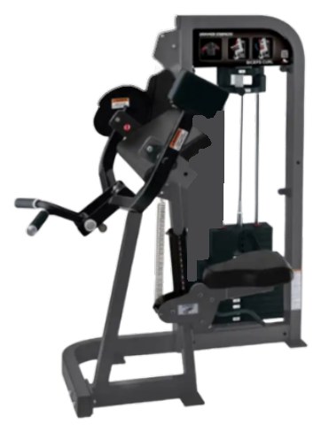 Biceps Curl