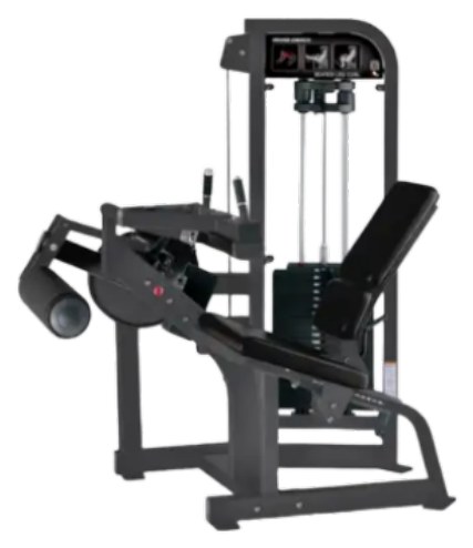 Seated Leg Curl